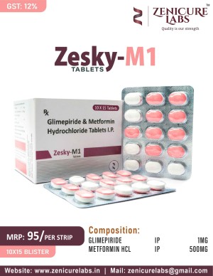 ZESKY-M1