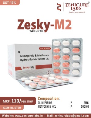 ZESKY-M2