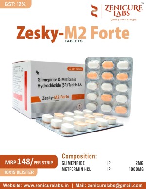 ZESKY-M2 FORTE