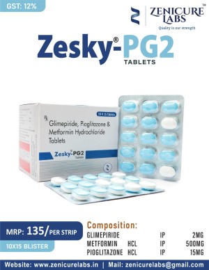 ZESKY-PG2